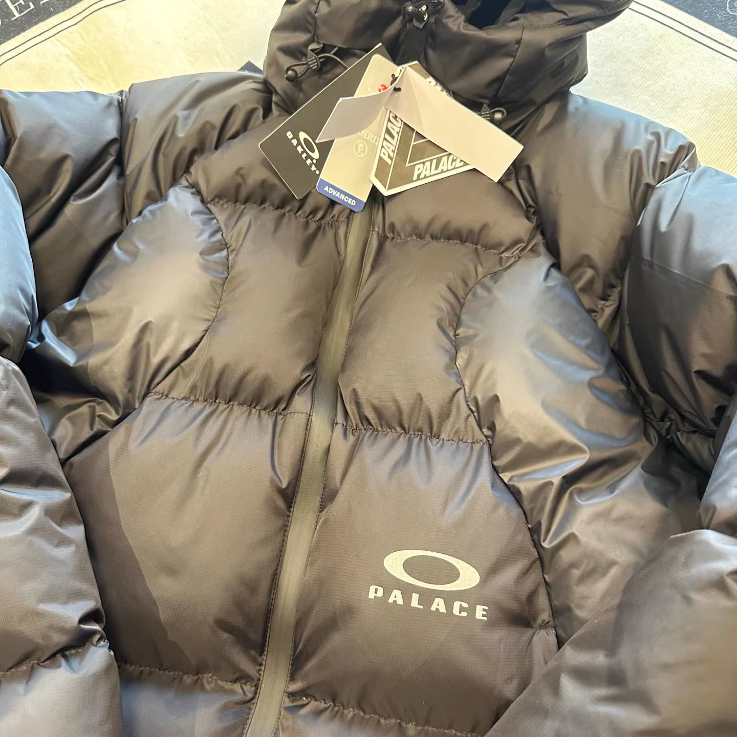 Oakley x Palace Men's Winter Warm Goose Down Modern BIG Logo Puffer Jacket